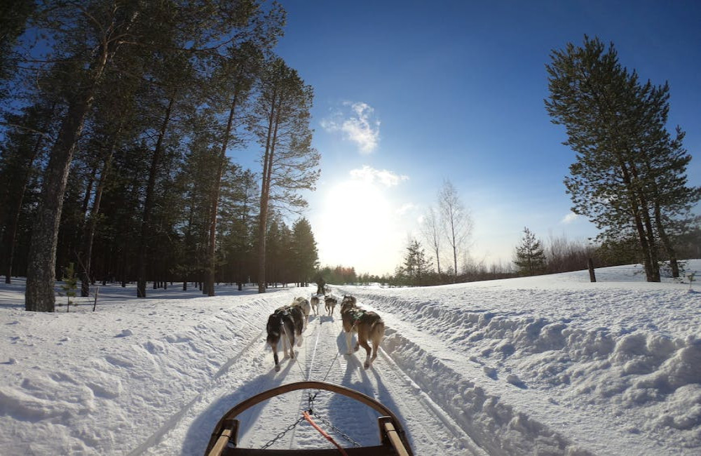 Rovaniemi in de winter bezoeken