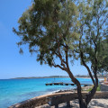 Cala Ratjada centrum als uitvalsbasis: wandelen, stranden en dagtochten
